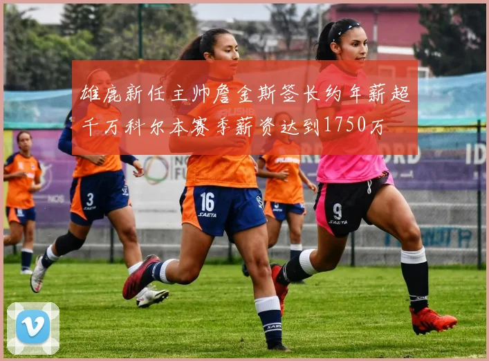 雄鹿新任主帅詹金斯签长约年薪超千万科尔本赛季薪资达到1750万
